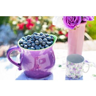 Blaubeere