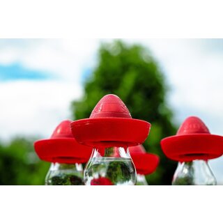 Tequila