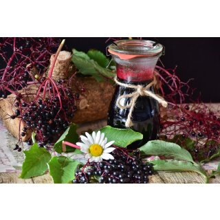 Holunderbeere