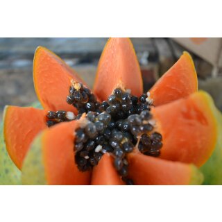 Papaya
